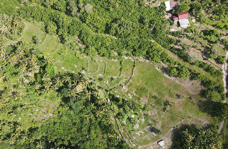 Climate Mitigative & Adaptive Farm