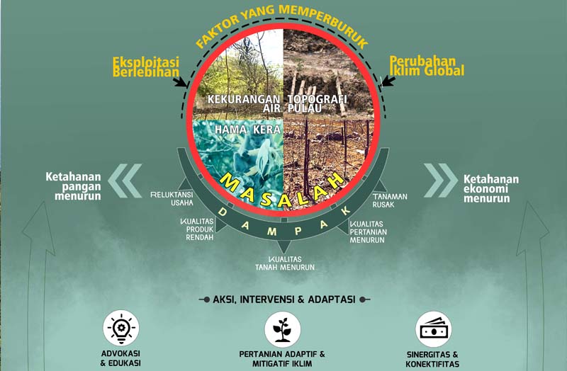 Program's Development Concept